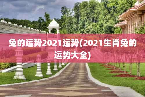 兔的运势2021运势(2021生肖兔的运势大全)