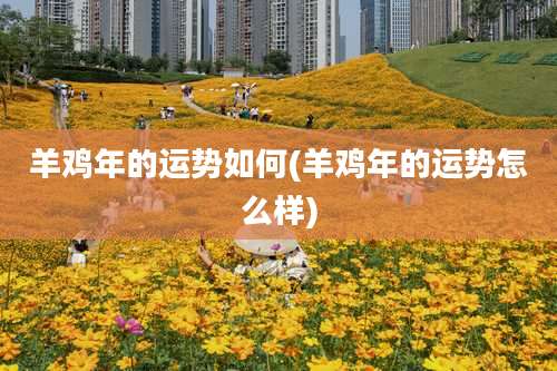 羊鸡年的运势如何(羊鸡年的运势怎么样)