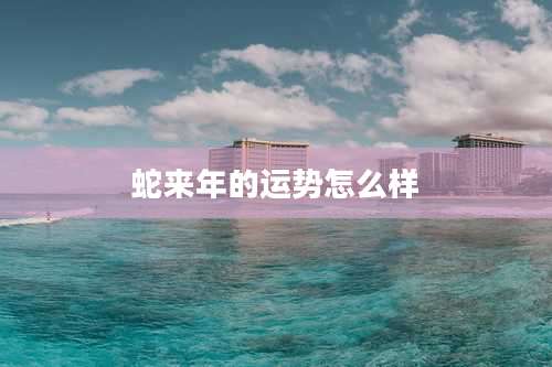 蛇来年的运势怎么样
