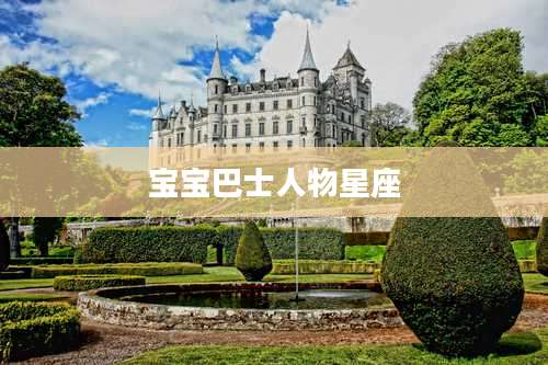 宝宝巴士人物星座