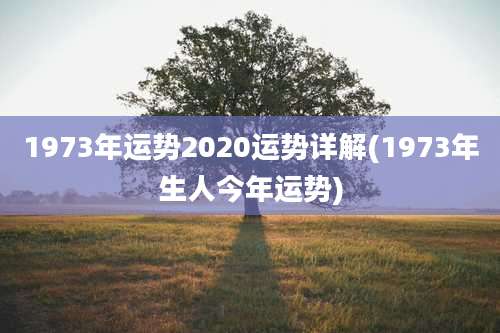 1973年运势2020运势详解(1973年生人今年运势)