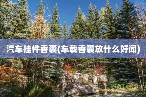 汽车挂件香囊(车载香囊放什么好闻)