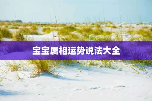 宝宝属相运势说法大全