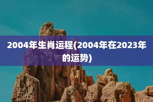 2004年生肖运程(2004年在2023年的运势)