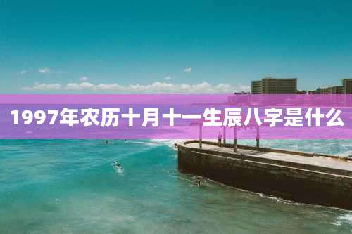 1997年农历十月十一生辰八字是什么
