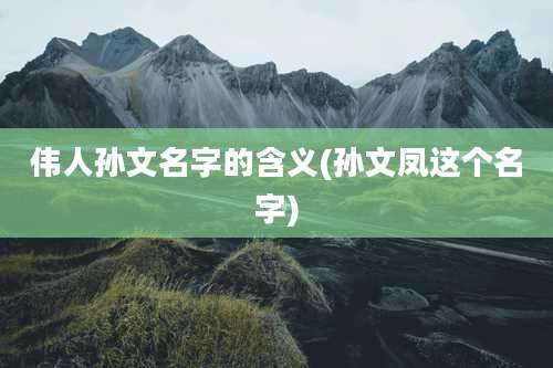 伟人孙文名字的含义(孙文凤这个名字)