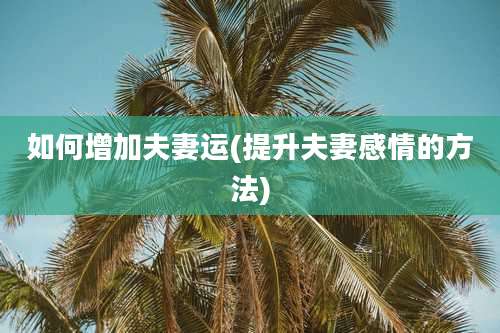 如何增加夫妻运(提升夫妻感情的方法)