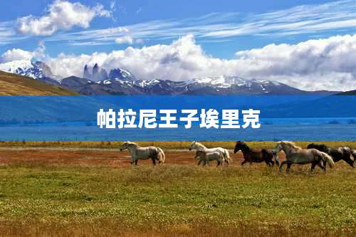帕拉尼王子埃里克