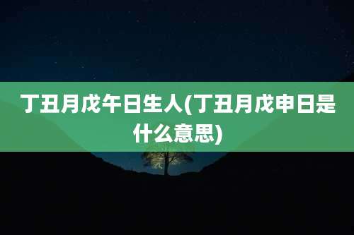 丁丑月戊午日生人(丁丑月戊申日是什么意思)