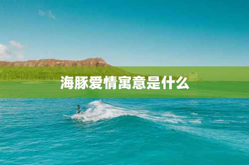 海豚爱情寓意是什么