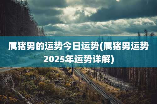 属猪男的运势今日运势(属猪男运势2025年运势详解)