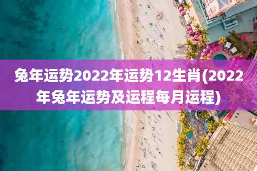 兔年运势2022年运势12生肖(2022年兔年运势及运程每月运程)