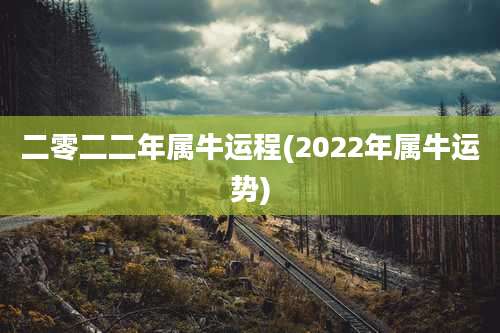 二零二二年属牛运程(2022年属牛运势)