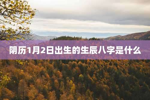 阴历1月2日出生的生辰八字是什么