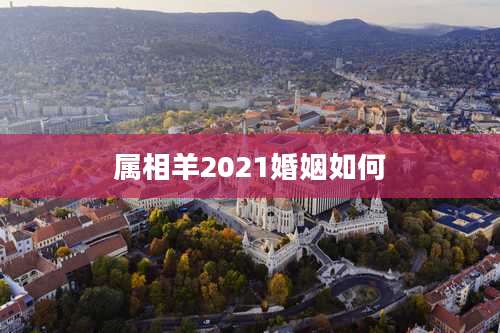 属相羊2021婚姻如何