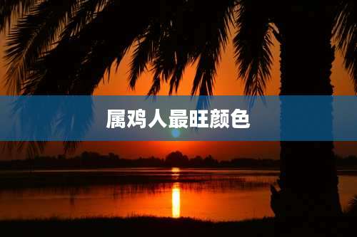 属鸡人最旺颜色