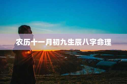 农历十一月初九生辰八字命理