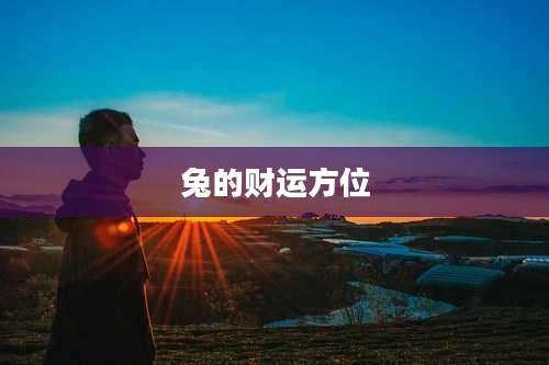 兔的财运方位