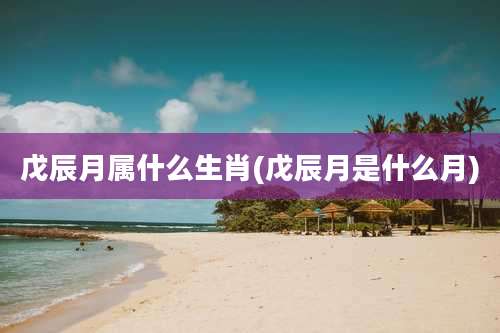 戊辰月属什么生肖(戊辰月是什么月)