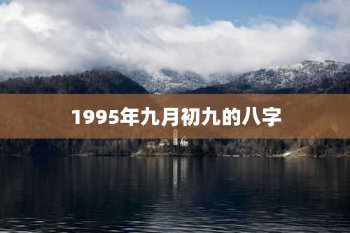 1995年九月初九的八字