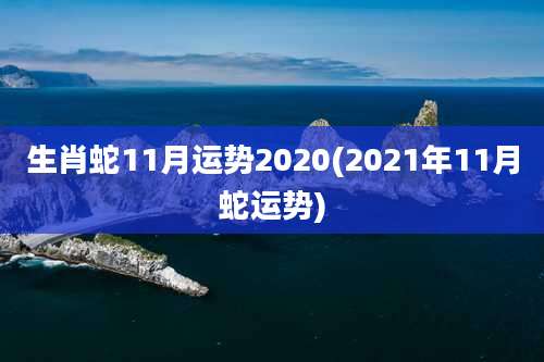 生肖蛇11月运势2020(2021年11月蛇运势)