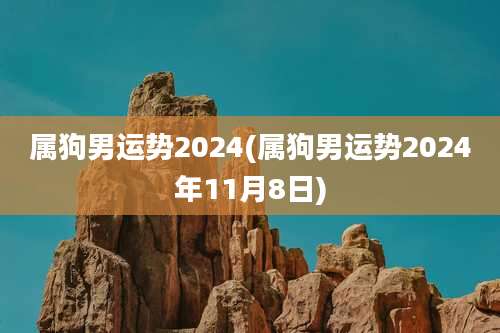 属狗男运势2024(属狗男运势2024年11月8日)