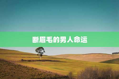 断眉毛的男人命运