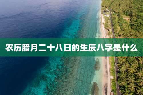农历腊月二十八日的生辰八字是什么