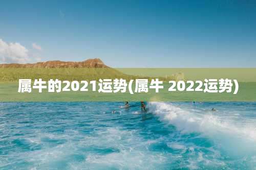 属牛的2021运势(属牛 2022运势)