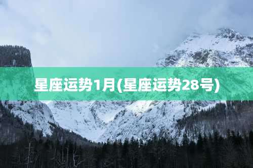 星座运势1月(星座运势28号)