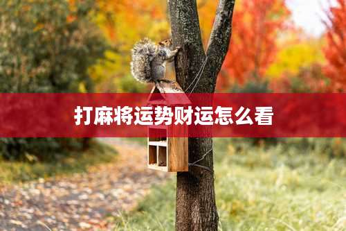 打麻将运势财运怎么看