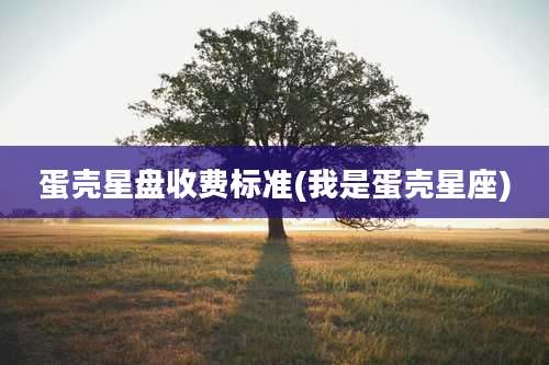 蛋壳星盘收费标准(我是蛋壳星座)
