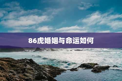 86虎婚姻与命运如何