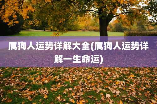 属狗人运势详解大全(属狗人运势详解一生命运)