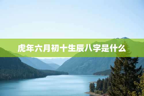 虎年六月初十生辰八字是什么