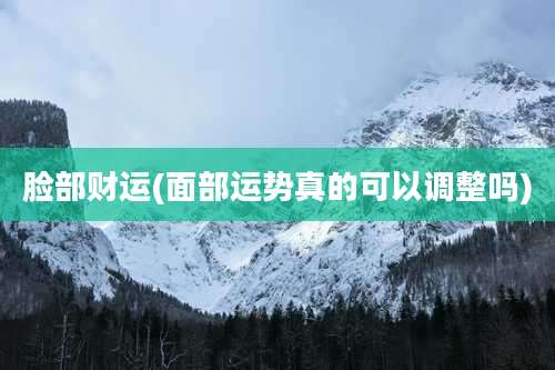 脸部财运(面部运势真的可以调整吗)