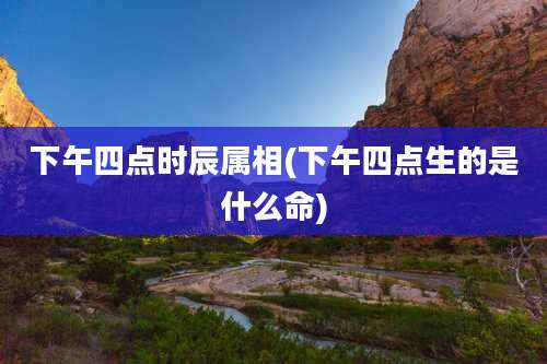 下午四点时辰属相(下午四点生的是什么命)