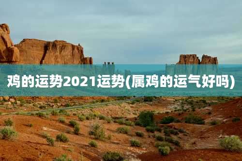 鸡的运势2021运势(属鸡的运气好吗)