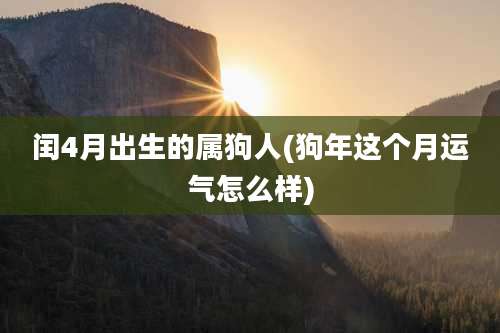 闰4月出生的属狗人(狗年这个月运气怎么样)