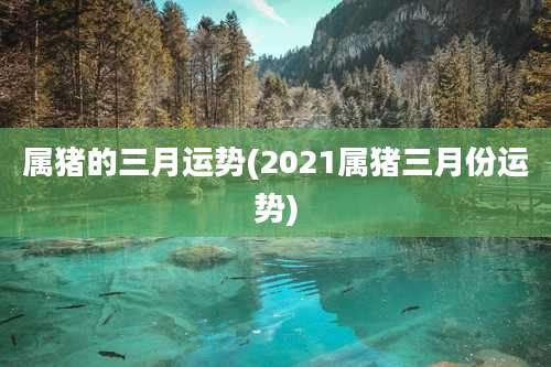 属猪的三月运势(2021属猪三月份运势)