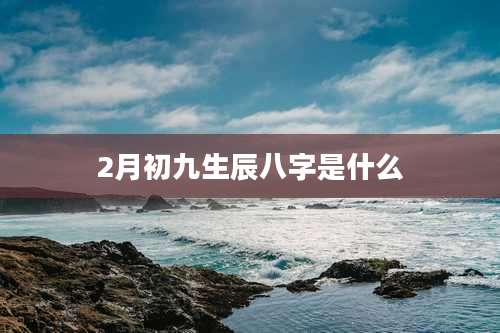2月初九生辰八字是什么