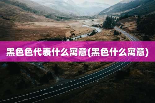 黑色色代表什么寓意(黑色什么寓意)