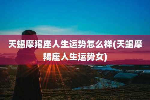 天蝎摩羯座人生运势怎么样(天蝎摩羯座人生运势女)