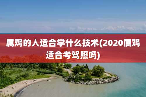 属鸡的人适合学什么技术(2020属鸡适合考驾照吗)