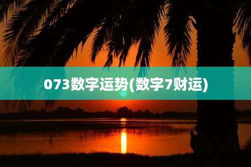 073数字运势(数字7财运)