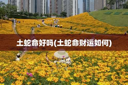 土蛇命好吗(土蛇命财运如何)