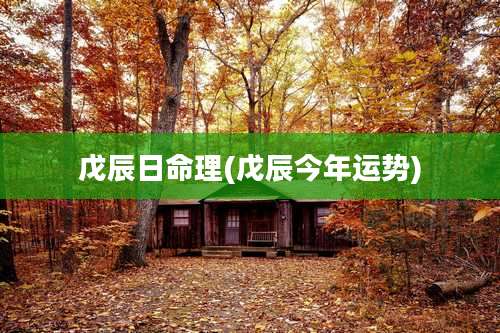 戊辰日命理(戊辰今年运势)