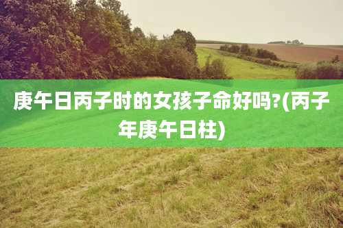 庚午日丙子时的女孩子命好吗?(丙子年庚午日柱)