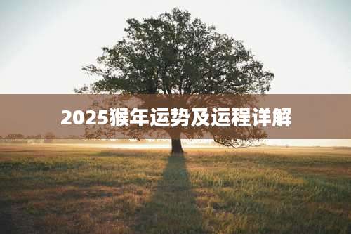 2025猴年运势及运程详解