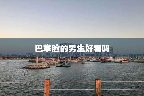 巴掌脸的男生好看吗